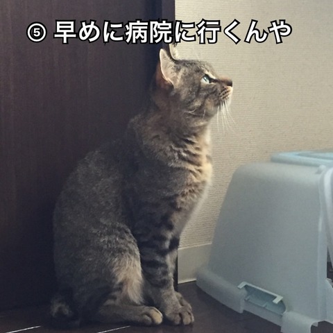 IMG_4795[1]