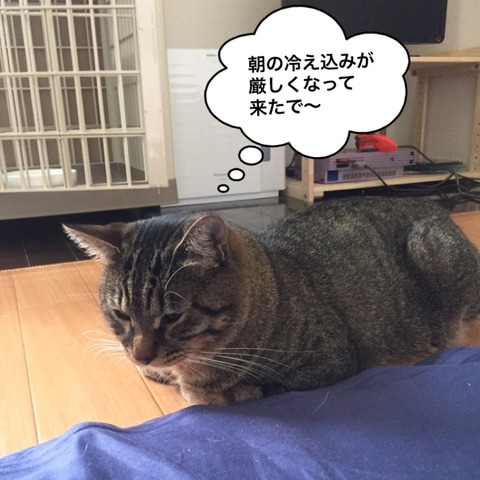IMG_6795[1]