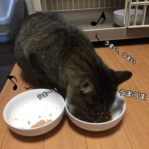 2018-01-03-00-12-03