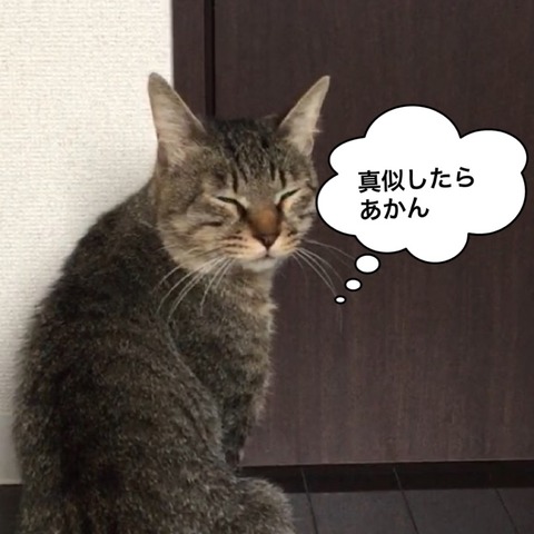 IMG_4757[1]