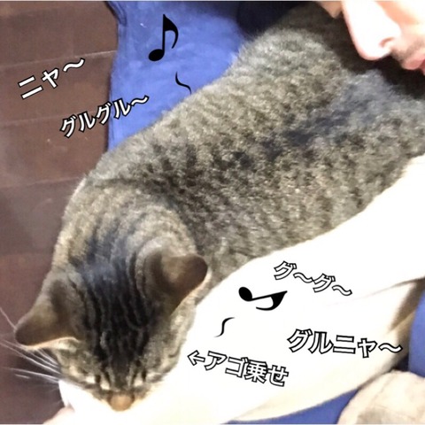2017-12-19-18-16-21