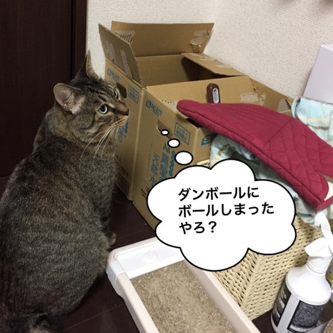 IMG_6704[1]