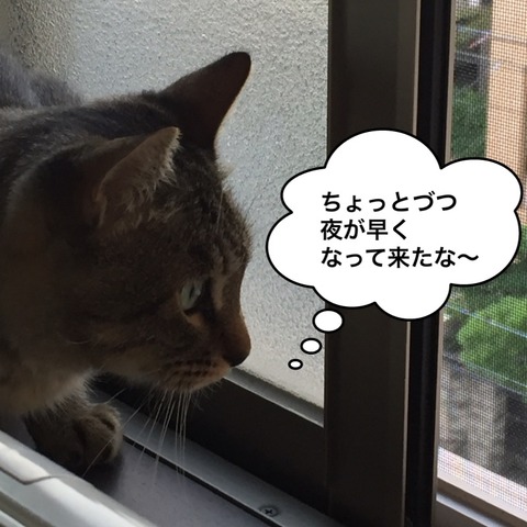 IMG_4891[1]
