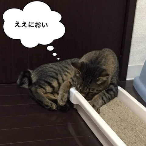 IMG_5094[1]
