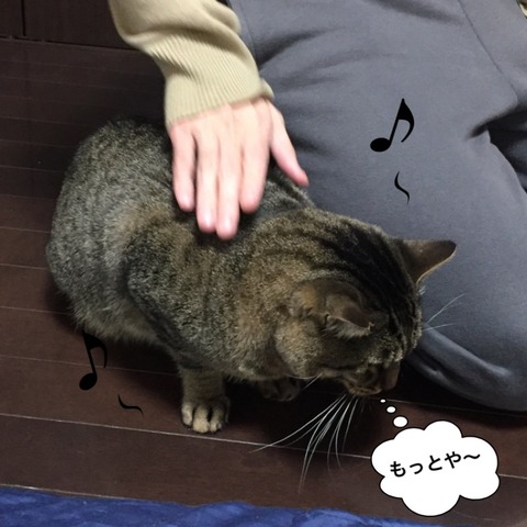IMG_6867[1]