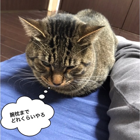 2017-12-13-21-46-16