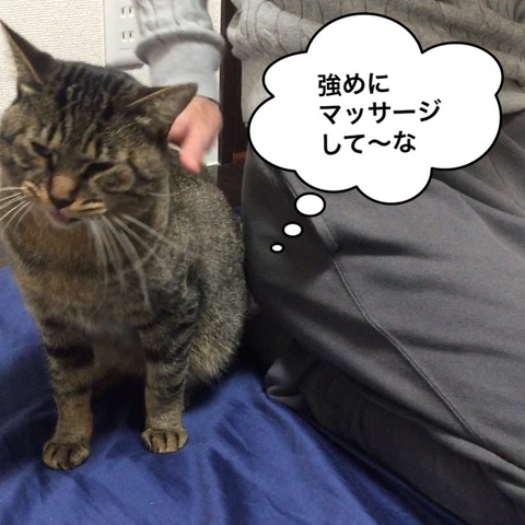 IMG_6608[1]