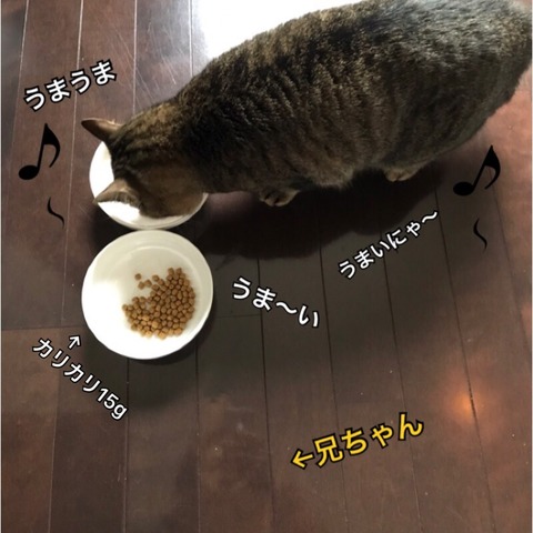 2018-01-22-18-18-55
