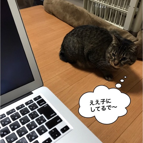 2018-01-11-20-31-03