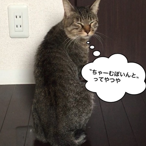 IMG_4290[1]