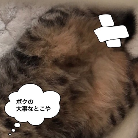 IMG_5807[1]