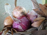 P1170208