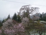 P1170444