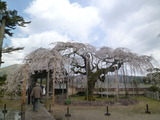 P1170454
