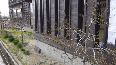新潟県燕三条の外壁リフォーム工事 ニチハ14mmサイディング張り