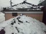 変換 〜 DSC_0172