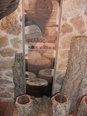 DSCF0963