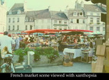 French%20Scene-Xanthopsia