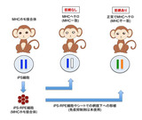 fig1