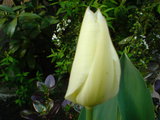 59