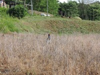 DSCN7202-1