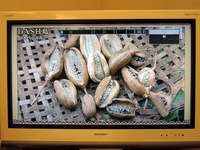 DSCN4213-1