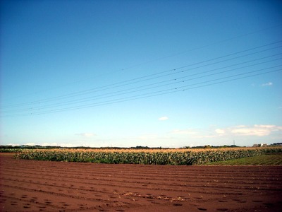 DSCN3616-2