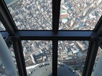 DSCN4965