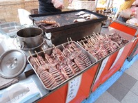 DSCN3094-1