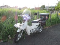 DSCN7209-1