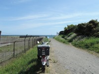 DSCN7168-1