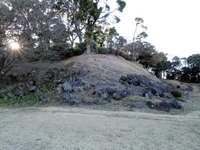 DSCN5519-1