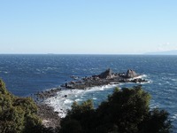 DSCN5502-1