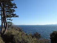 DSCN5499-1