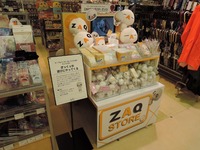 DSCN3800