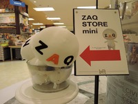 DSCN3799