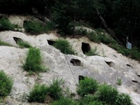 DSCN2806