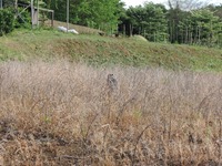 DSCN7201-1