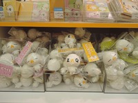 DSCN3803