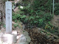 DSCN7139-1
