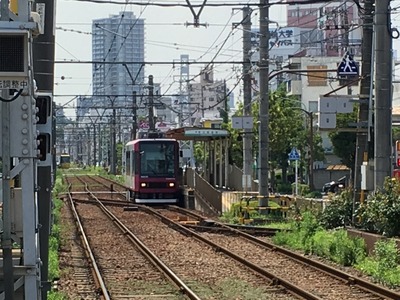 15IMG_2897