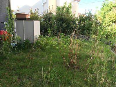 05IMG_3081