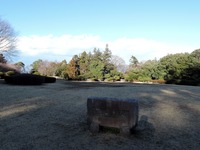 DSCN5516-1