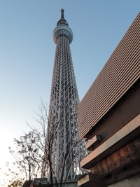 DSCN4988