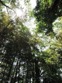 DSCN7138-1