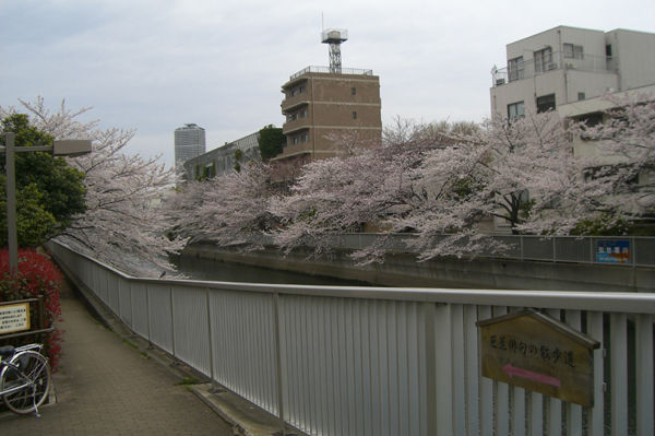CIMG6321