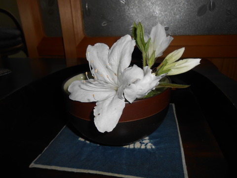 DSCN1782