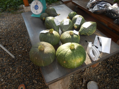 DSCN6673