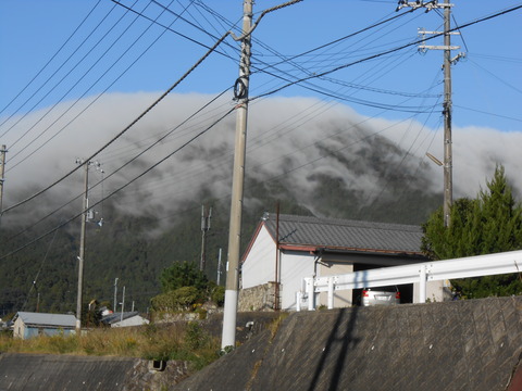 DSCN0879