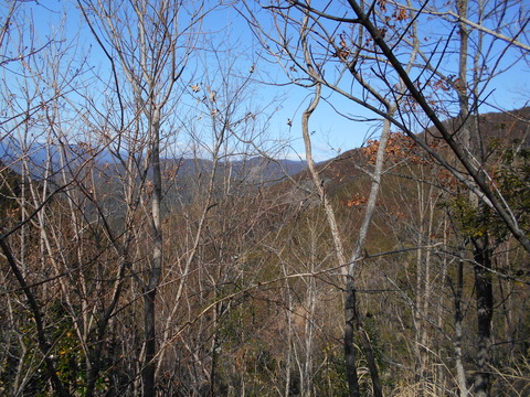 DSCN0562